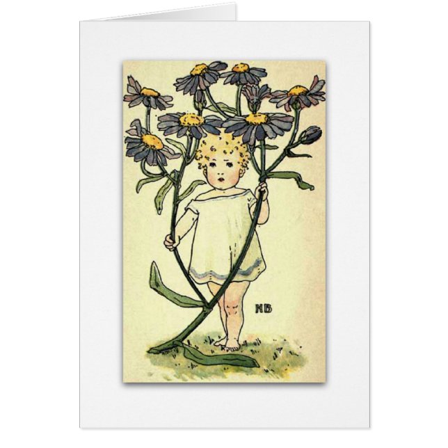 NELLIE BENSONによる美しいMichaelmasデイジー (正面)