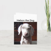 NelsonTheDog カード (裏面)