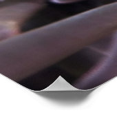 Nemoが見つかった ポスター (角)