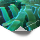 Nemoの検索 ポスター (角)