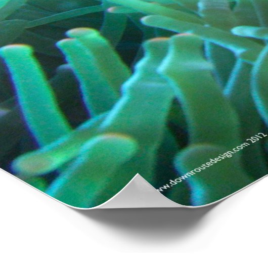 Nemoの検索 ポスター (角)