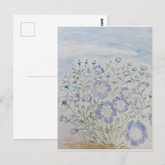 nemophila ポストカード (正面/裏面)