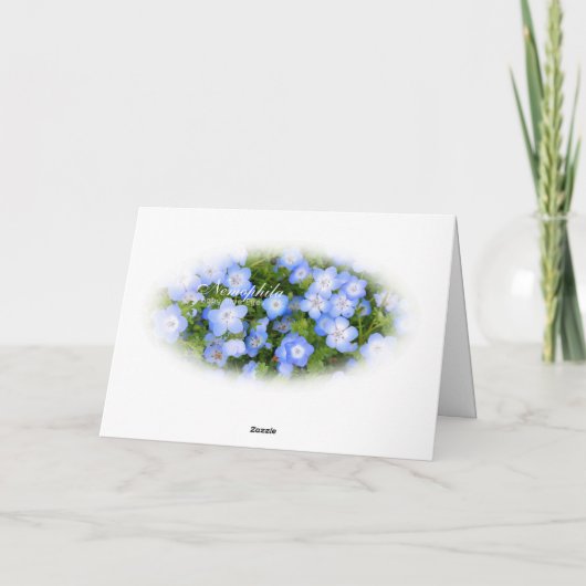 NEMOPHILA(Baby Blue Eyes) カード (裏面)