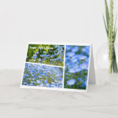 NEMOPHILA(Baby Blue Eyes) カード (正面)