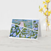 NEMOPHILA（Baby Blue Eyes） カード (黄色い花)