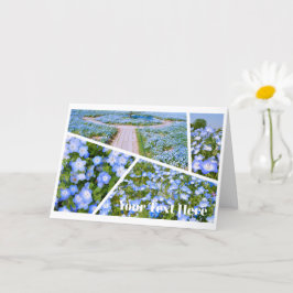 NEMOPHILA（Baby Blue Eyes） カード