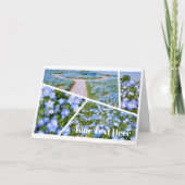 NEMOPHILA（Baby Blue Eyes） カード (正面)