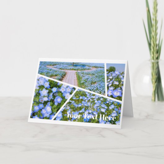 NEMOPHILA(Baby Blue Eyes) カード (正面)