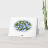 NEMOPHILA（Baby Blue Eyes） カード (裏面)