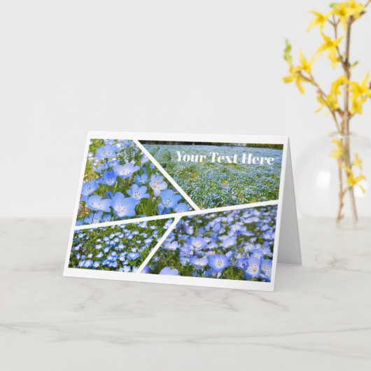 NEMOPHILA（Baby Blue Eyes） カード (黄色い花)