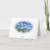 NEMOPHILA（Baby Blue Eyes） カード (裏面)