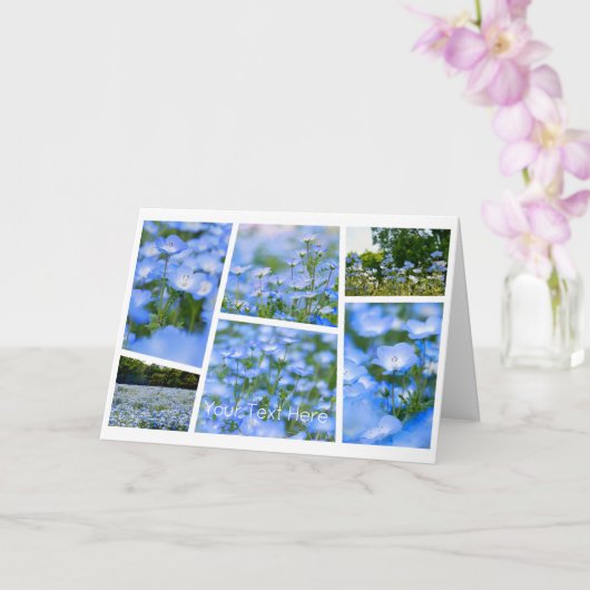NEMOPHILA（Baby Blue Eyes） カード (蘭)