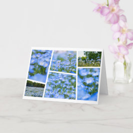 NEMOPHILA（Baby Blue Eyes） カード