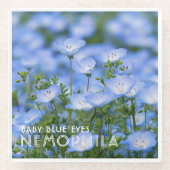 NEMOPHILA（Baby Blue Eyes） ガラスコースター (正面)