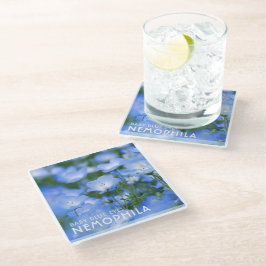 NEMOPHILA（Baby Blue Eyes） ガラスコースター