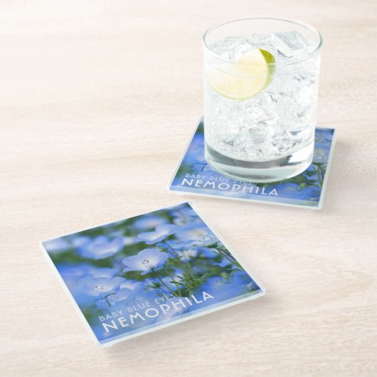 NEMOPHILA（Baby Blue Eyes） ガラスコースター (アングル)