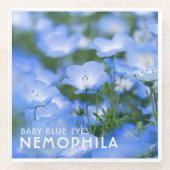 NEMOPHILA（Baby Blue Eyes） ガラスコースター (正面)