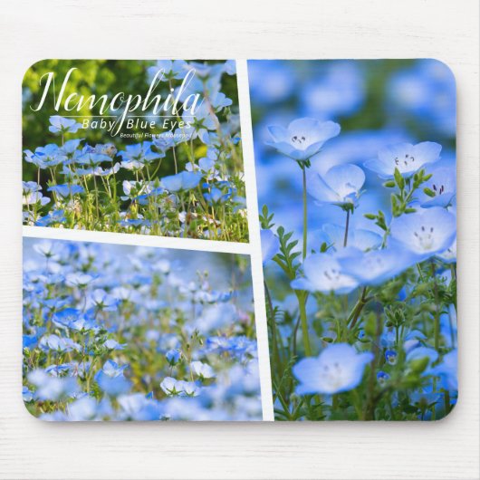 NEMOPHILA（Baby Blue Eyes） マウスパッド (正面)