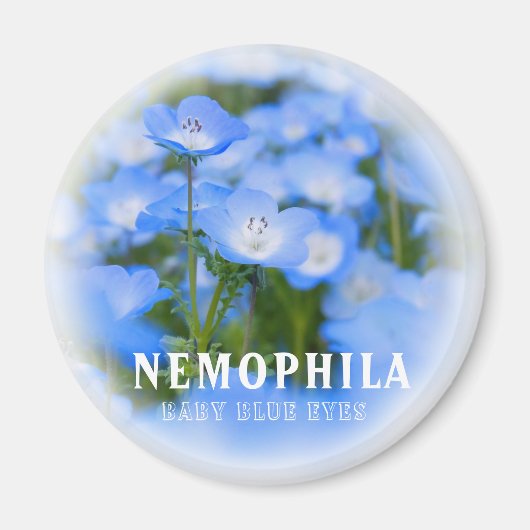 NEMOPHILA（Baby Blue Eyes） マグネット (正面)