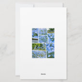 NEMOPHILA(Baby Blue Eyes) 便箋 (裏面)