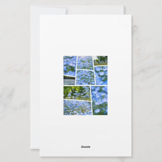 NEMOPHILA（Baby Blue Eyes） 便箋 (裏面)