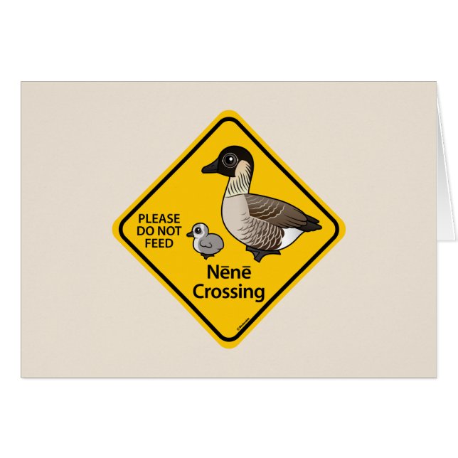 Neneの交差 (正面横)