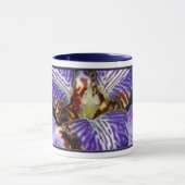 Neomarica マグカップ (中央)