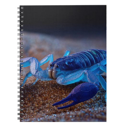 Neon Blue Scorpion Notebook ノートブック (正面)