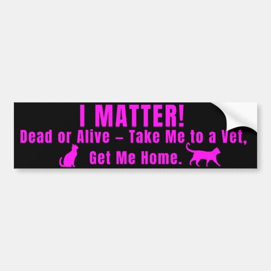 Neon Pink "I Matter" Bumper Sticker バンパーステッカー (正面)