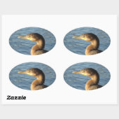 Neotropicの鵜 楕円形シール (シート)