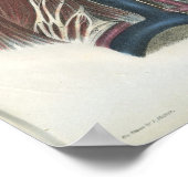 Nerves of the Neck Anatomy Print ポスター (角)