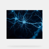 nervous system アクリルサイン (正面)