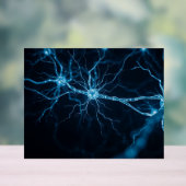 nervous system アクリルサイン (ニュートラル)