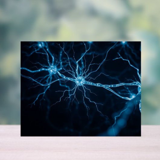 nervous system アクリルサイン (ニュートラル)