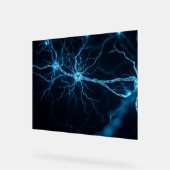 nervous system アクリルサイン (傾斜)