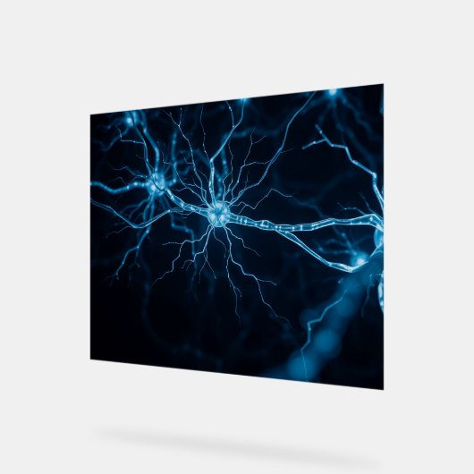 nervous system アクリルサイン (傾斜)
