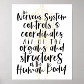 Nervous System Poster, Chiropractic Poster, Chiro ポスター (正面)