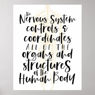 Nervous System Poster, Chiropractic Poster, Chiro  ポスター