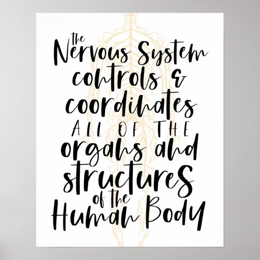 Nervous System Poster, Chiropractic Poster, Chiro ポスター (正面)