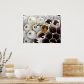 Nestポスターから現れるWasp ポスター (キッチン)