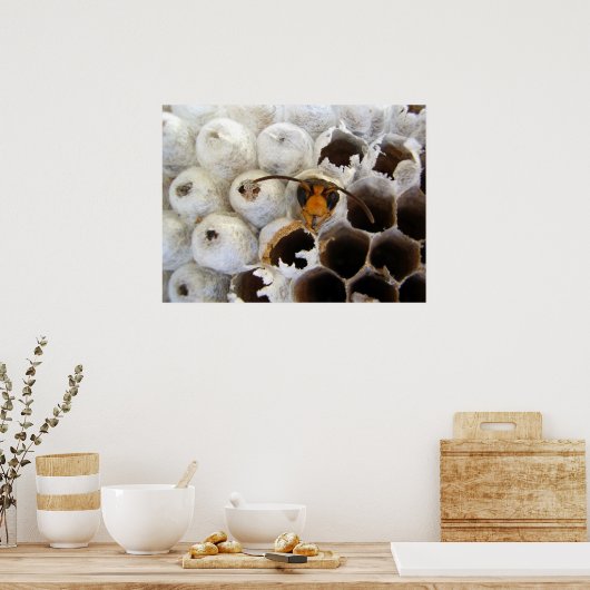 Nestポスターから現れるWasp ポスター (キッチン)