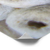 Nestポスターから現れるWasp ポスター (角)