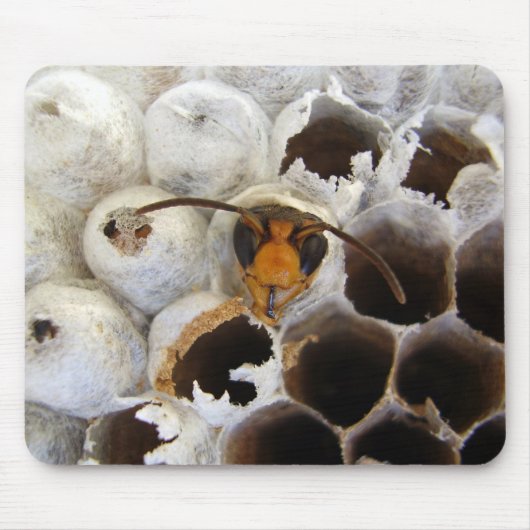 Nest Mouse Matから出現するWasp マウスパッド (正面)