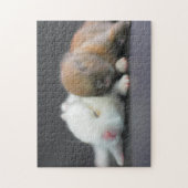 Netherlandの小型ウサギ ジグソーパズル (縦)