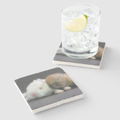 Netherlandの小型ウサギ ストーンコースター (横)