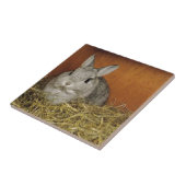 Netherlandの小型ウサギ タイル (側面)