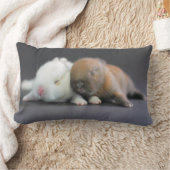 Netherlandの小型ウサギ ランバークッション (ブランケット)