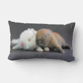 Netherlandの小型ウサギ ランバークッション (裏面)