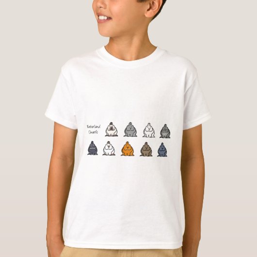 Netherlandの小型色 Tシャツ (正面)