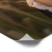 NETHERLANDS - DUTCH ポスター (角)